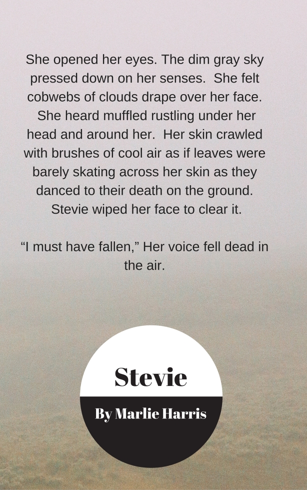 Excerpt from Stevie